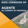 Apostila Agente Combate Endemias Pref Dois Córregos SP 2021