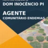 Apostila Agente de Combate às Endemias Dom Inocêncio PI 2021