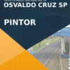 Apostila Pintor Concurso Osvaldo Cruz SP 2022