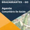 Apostila Agente Comunitário De Saúde Pref Brazabrantes GO 2022