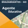 Apostila Agente Educativo Pref Brazabrantes GO 2022