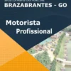 Apostila Motorista Profissional Pref Brazabrantes GO 2022
