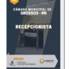 Apostila Recepcionista Câmara de Grossos RN 2022