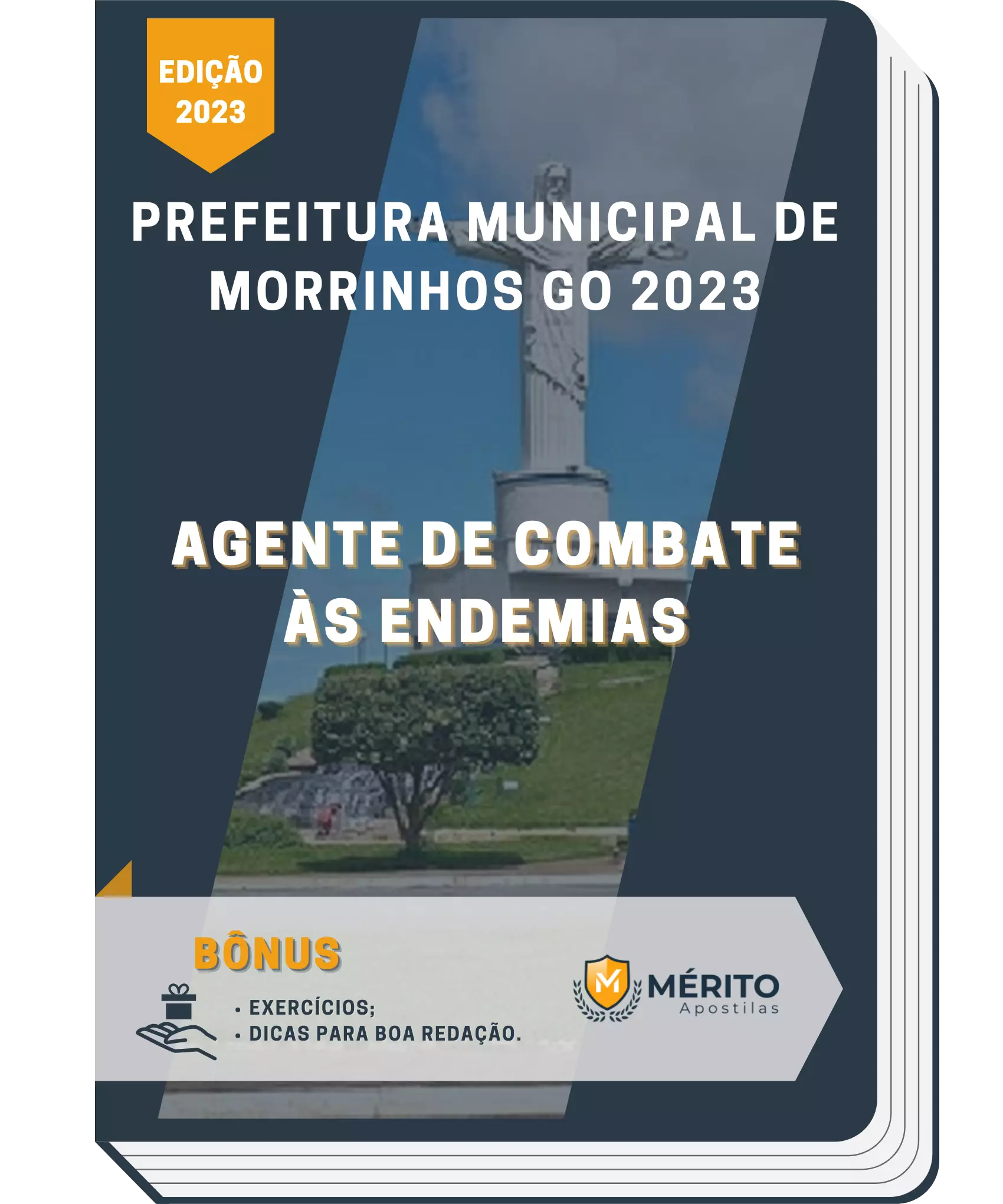 Apostila Agente de Combate às Endemias Prefeitura de Morrinhos GO 2023