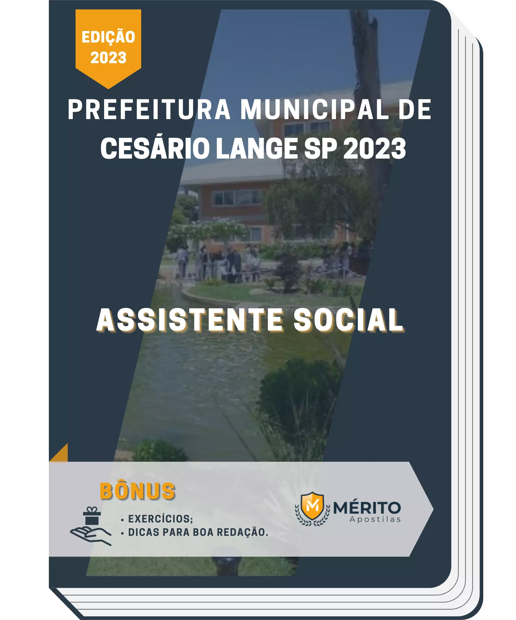 Assistente Social e Calamidade Pública, PDF, Trabalho social