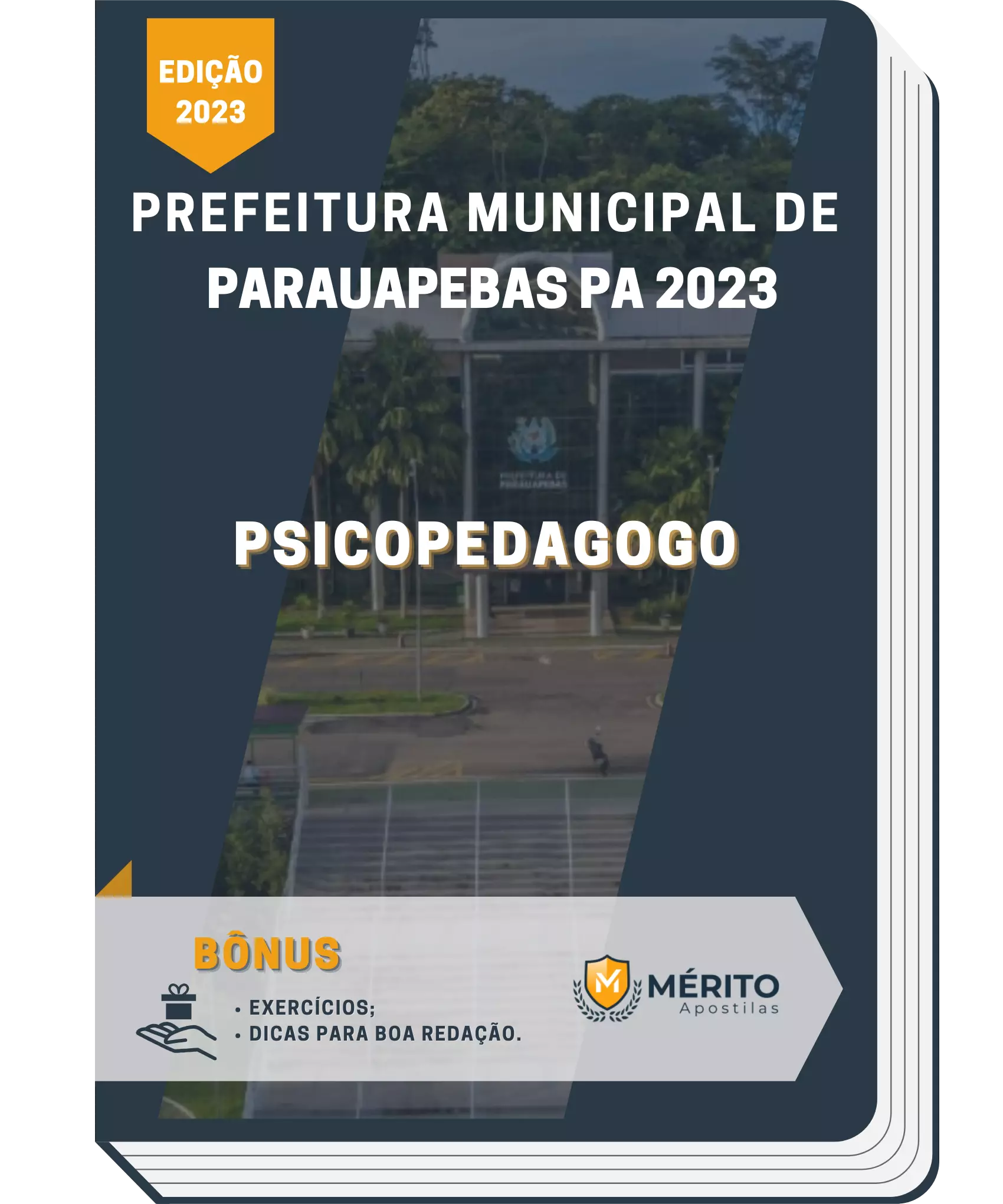 Usado: Psicopedagogia - o Caráter Interdisciplinar na Formação e Atuação