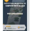 Apostila Psicopedagogo Prefeitura de Campo do Brito SE 2023