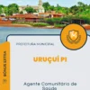 Apostila Agente Comunitário de Saúde Prefeitura de Uruçuí PI 2024