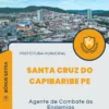 Apostila Agente de Combate às Endemias Prefeitura De Santa Cruz Do Capibaribe PE 2024