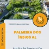 Apostila Auxiliar De Serviços De Apoio E Administrativo Educacionais Prefeitura de Palmeira dos Índios AL 2024