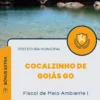 Apostila Fiscal de Meio Ambiente I Prefeitura de Cocalzinho de Goiás GO
