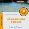 Apostila Fiscal de Tributos I Prefeitura de Cocalzinho de Goiás GO