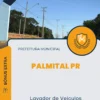Apostila Lavador de Veículos Prefeitura de Palmital PR 2024
