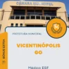 Apostila Médico ESF Prefeitura Vicentinópolis GO 2024