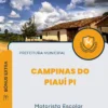Apostila Motorista Escolar Prefeitura de Campinas do Piauí PI 2024