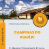 Apostila Professor Polivalente Ensino Infantil e 1 ao 5 Ano Prefeitura de Campinas do Piauí PI 2024