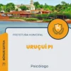 Apostila Psicólogo Prefeitura de Uruçuí PI 2024