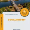 Apostila Psicólogo Prefeitura de Cocalinho MT 2024