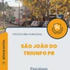 Apostila Psicólogo Prefeitura de São João do Triunfo PR 2024