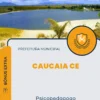 Apostila Psicopedagogo Prefeitura de Caucaia CE 2024
