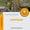 Apostila Psicopedagogo Prefeitura de Bonfim RR 2024
