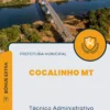 Apostila Técnico Administrativo Educacional Administração Escolar Prefeitura de Cocalinho MT 2024