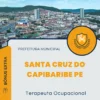 Apostila Terapeuta Ocupacional Prefeitura De Santa Cruz Do Capibaribe PE 2024