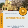 Apostila Agente De Combate Às Endemias Prefeitura de Lupionópolis PR 2024