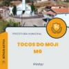 Apostila Pintor Prefeitura de Tocos do Moji MG 2024