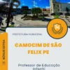 Apostila Professor de Educação Infantil Prefeitura Camocim de São Felix PE 2024