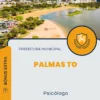 Apostila Psicólogo Prefeitura de Palmas TO 2024