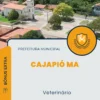 Apostila Veterinário Prefeitura de Cajapió MA 2024