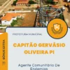 Apostila Agente Comunitário De Endemias Prefeitura de Capitão Gervásio Oliveira PI 2024
