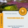 Apostila Agente De Combate À Endemias Prefeitura de Theobroma RO 2024