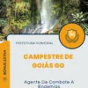 Apostila Agente De Combate A Endemias Prefeitura de Campestre de Goiás GO 2024