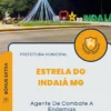 Apostila Agente De Combate A Endemias Prefeitura de Estrela do Indaiá MG 2024