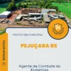 Apostila Agente de Combate às Endemias Prefeitura de Pejuçara RS 2024