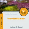 Apostila Assistente Social Prefeitura de Theobroma RO 2024