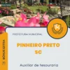 Apostila Auxiliar de tesouraria Prefeitura de Pinheiro Preto SC 2024