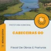 Apostila Fiscal De Obras E Posturas Prefeitura de Cabeceiras GO 2024