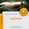 Apostila Fiscal de Postura Prefeitura de Lucélia SP 2024