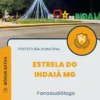 Apostila Fonoaudiólogo Prefeitura de Estrela do Indaiá MG 2024