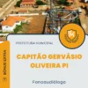 Apostila Fonoaudiólogo Prefeitura de Capitão Gervásio Oliveira PI 2024