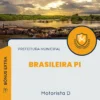 Apostila Motorista D Prefeitura de Brasileira PI 2024