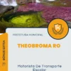 Apostila Motorista De Transporte Escolar Prefeitura de Theobroma RO 2024