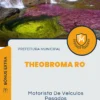 Apostila Motorista De Veículos Pesados Prefeitura de Theobroma RO 2024