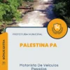 Apostila Motorista De Veículos Pesados Prefeitura de Palestina PA 2024
