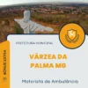 Apostila Motorista de Ambulância Prefeitura de Várzea da Palma MG 2024