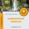 Apostila Professor PIII Prefeitura de Campestre de Goiás GO 2024