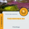 Apostila Psicólogo Prefeitura de Theobroma RO 2024